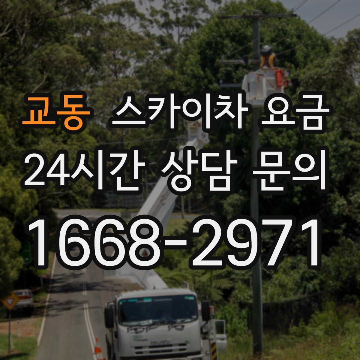 교동 스카이차 요금
