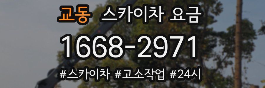 교동 스카이차 요금