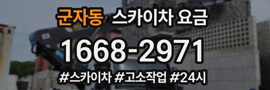 군자동 스카이차 요금