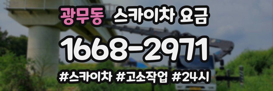 광무동 스카이차 요금