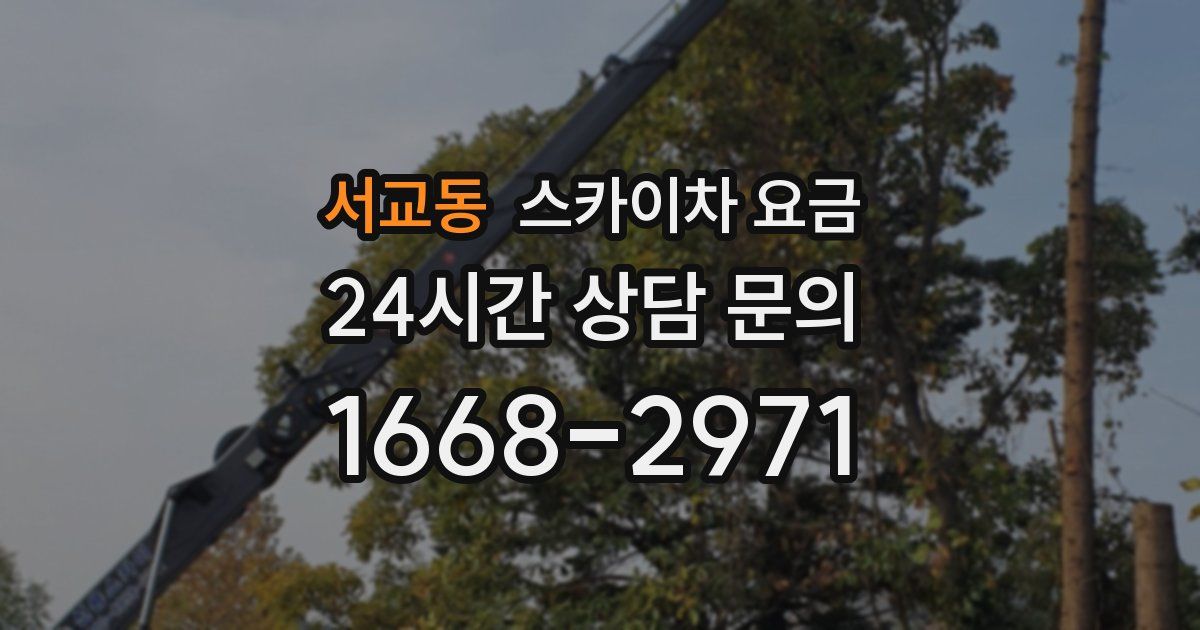 서교동 스카이차 요금