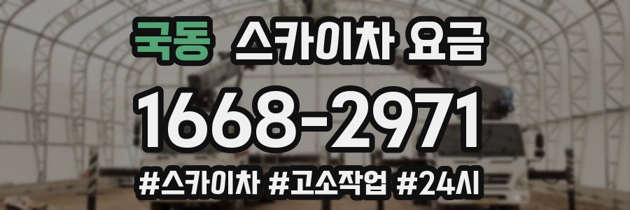 국동 스카이차 요금