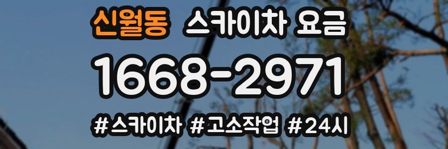 신월동 스카이차 요금