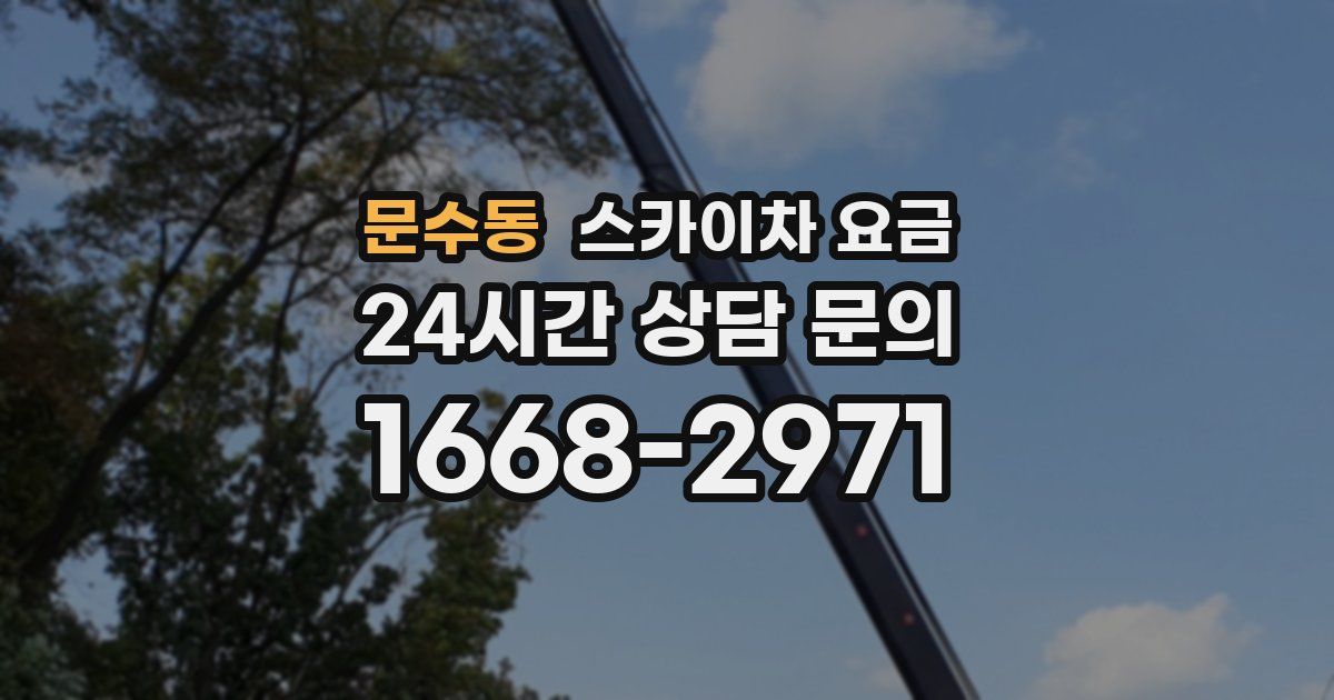 문수동 스카이차 요금