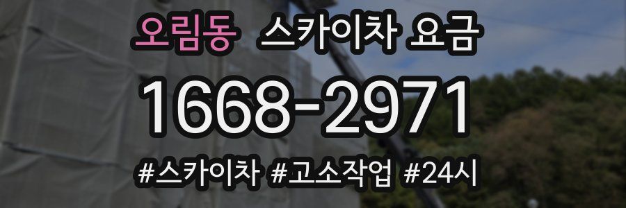 오림동 스카이차 요금
