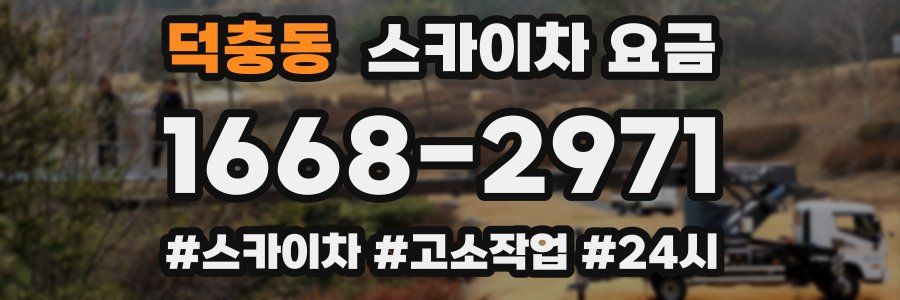 덕충동 스카이차 요금