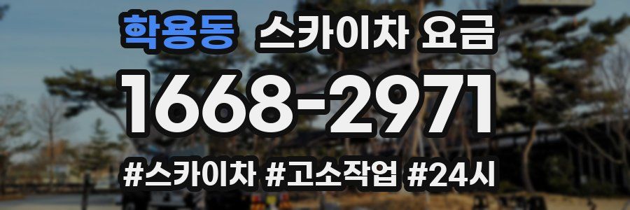 학용동 스카이차 요금