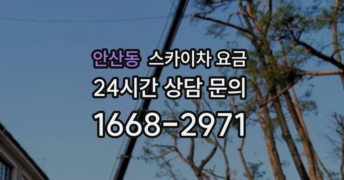 안산동 스카이차 요금