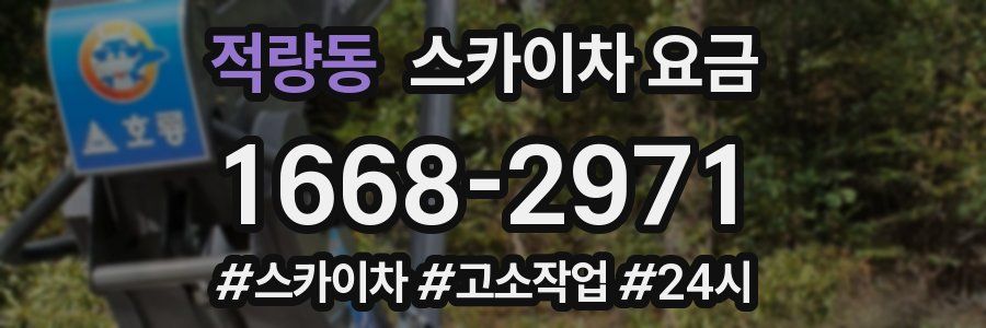 적량동 스카이차 요금