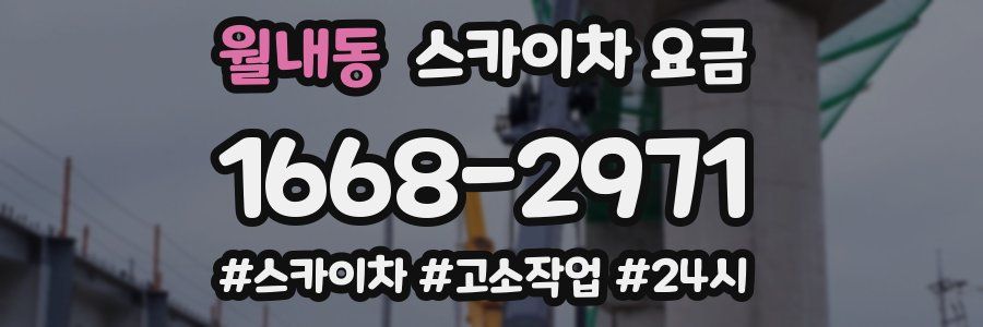 월내동 스카이차 요금