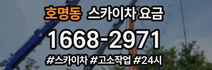 호명동 스카이차 요금