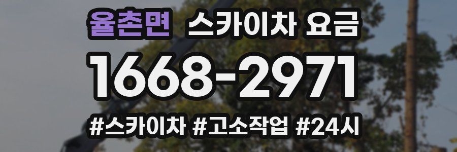 율촌면 스카이차 요금