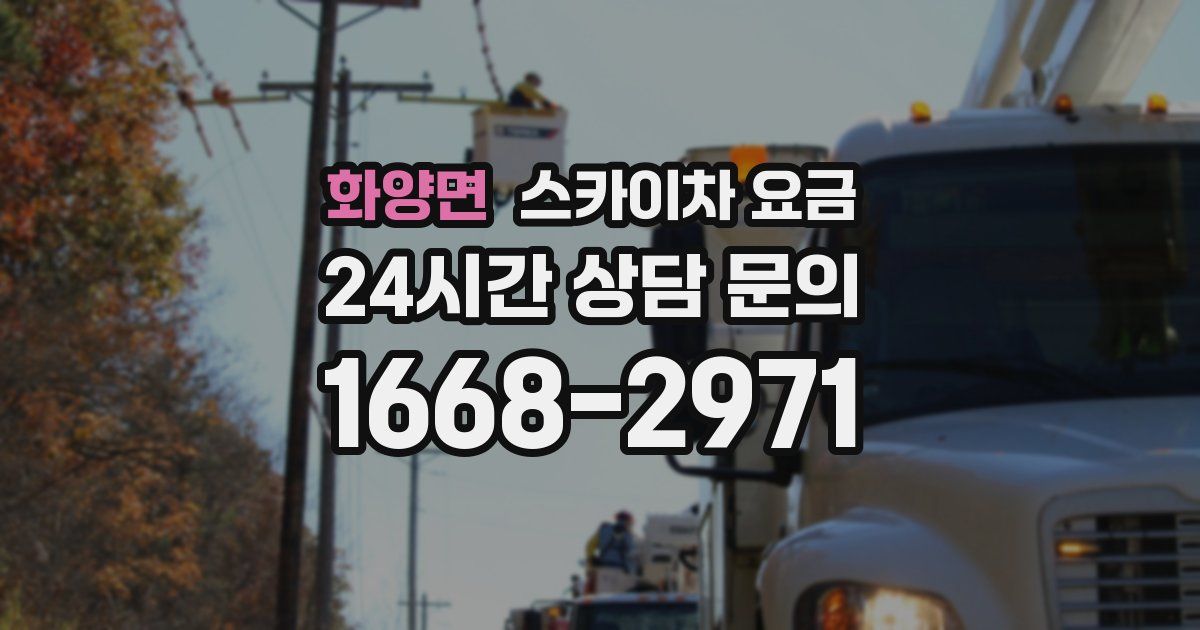 화양면 스카이차 요금