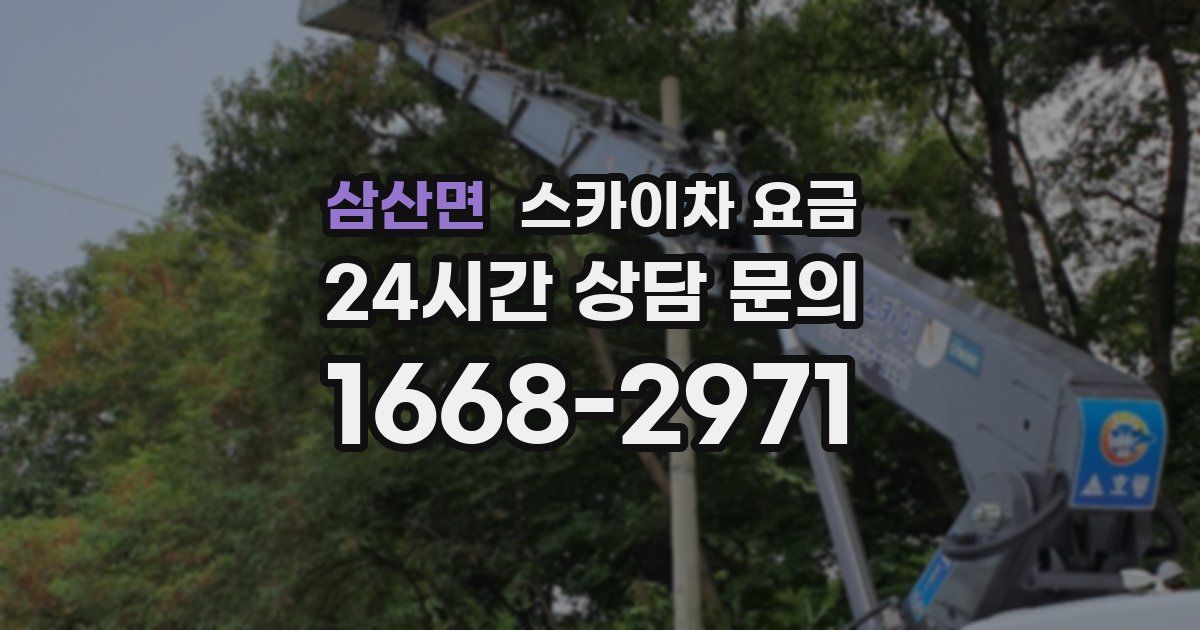 삼산면 스카이차 요금