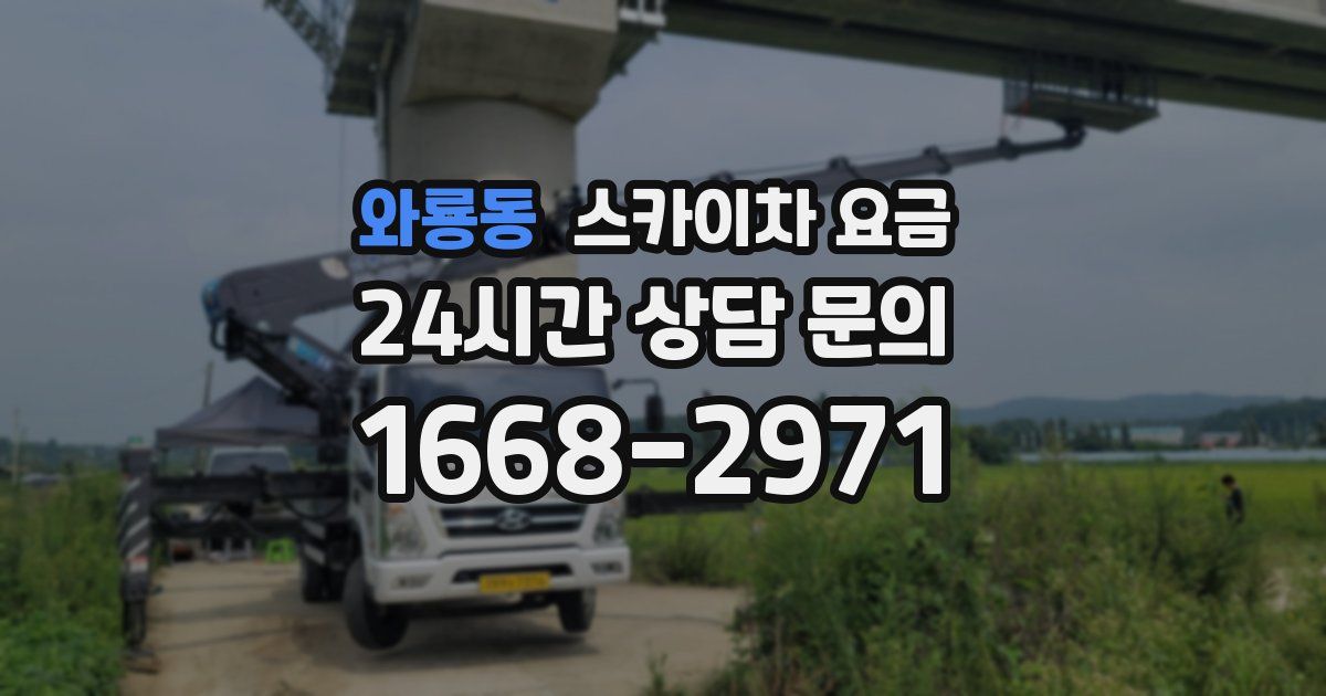 와룡동 스카이차 요금