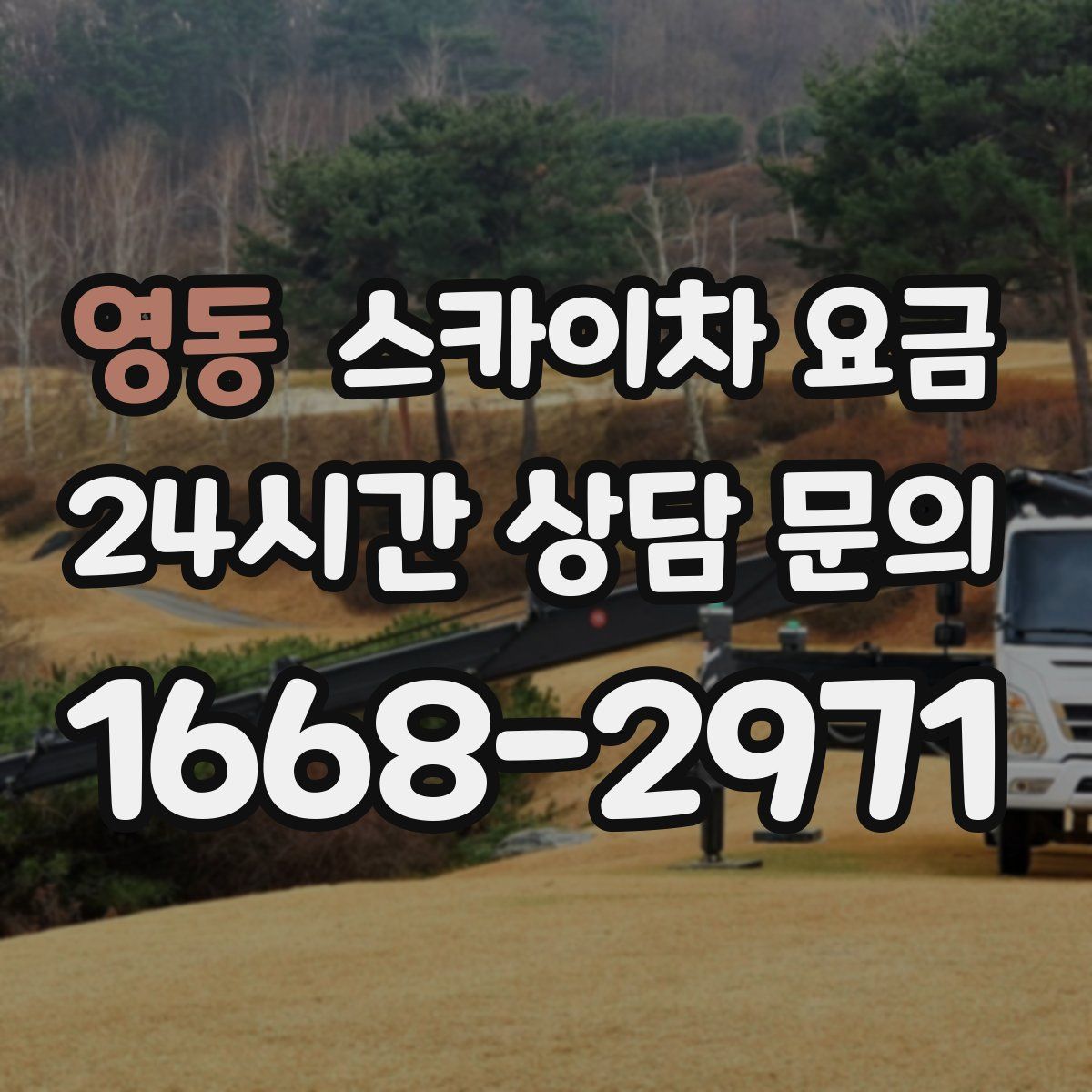 영동 스카이차 요금