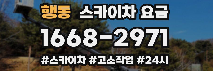 행동 스카이차 요금