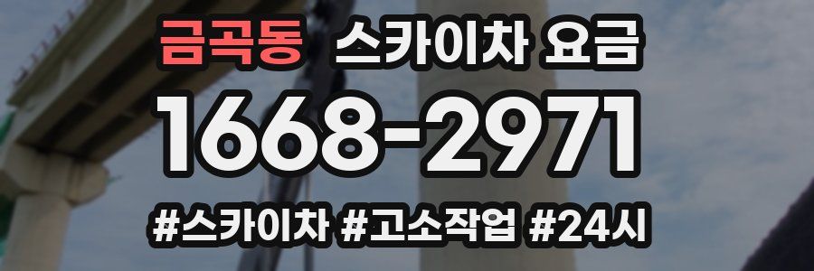 금곡동 스카이차 요금