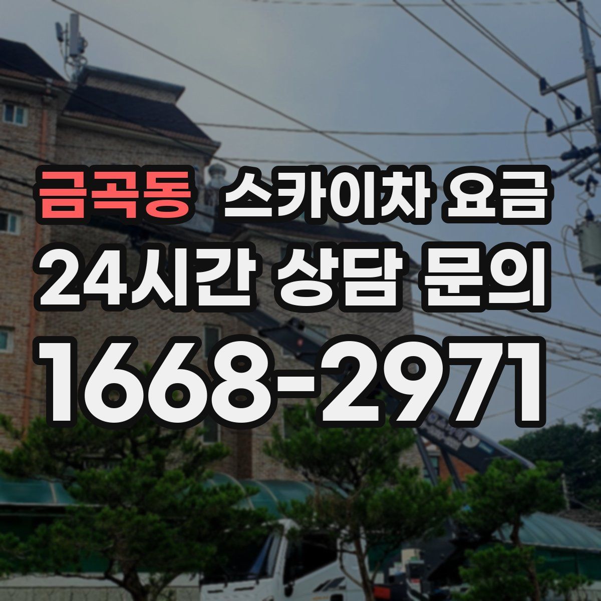 금곡동 스카이차 요금