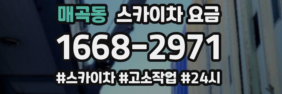매곡동 스카이차 요금