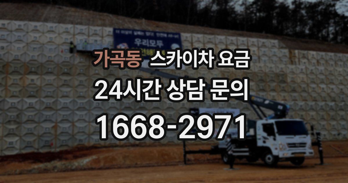 가곡동 스카이차 요금
