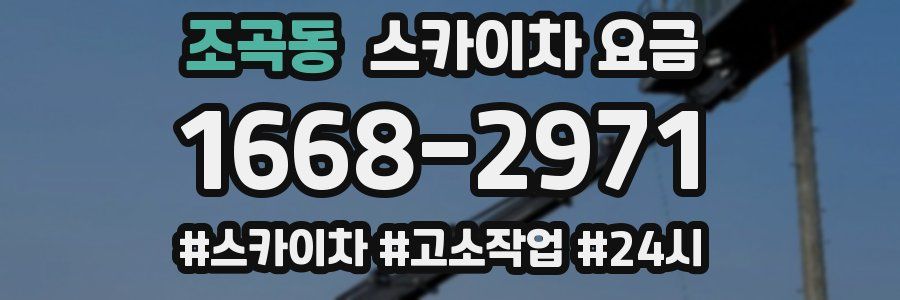 조곡동 스카이차 요금