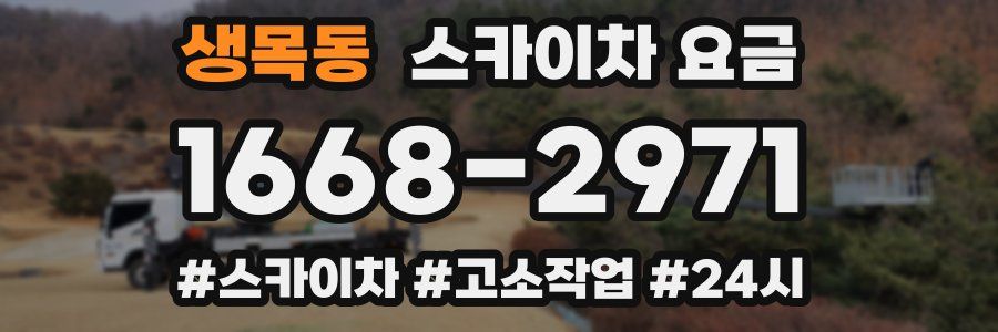 생목동 스카이차 요금