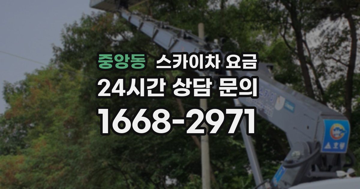 중앙동 스카이차 요금