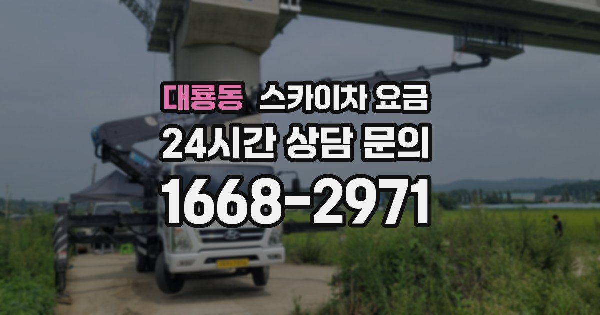 대룡동 스카이차 요금