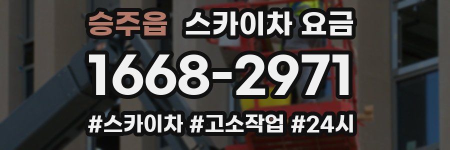 승주읍 스카이차 요금