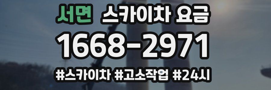 서면 스카이차 요금