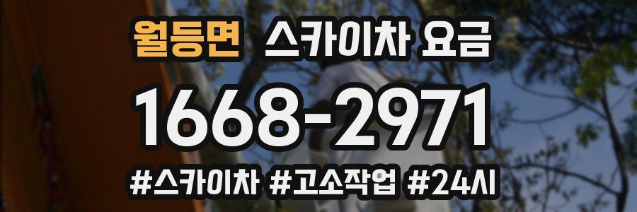 월등면 스카이차 요금