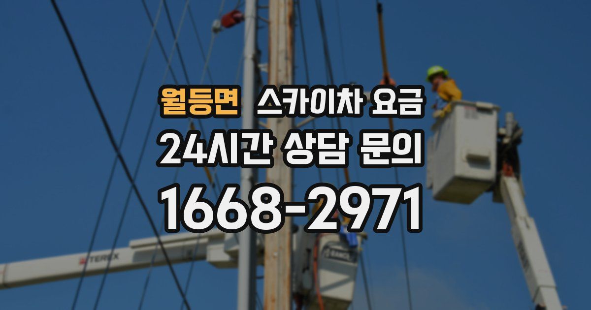 월등면 스카이차 요금