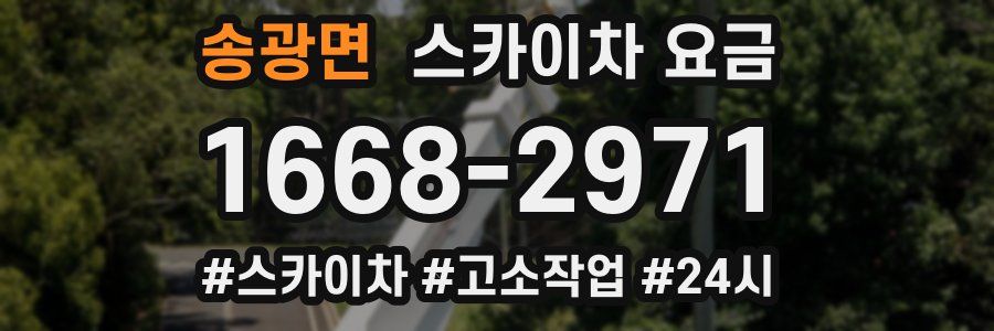 송광면 스카이차 요금
