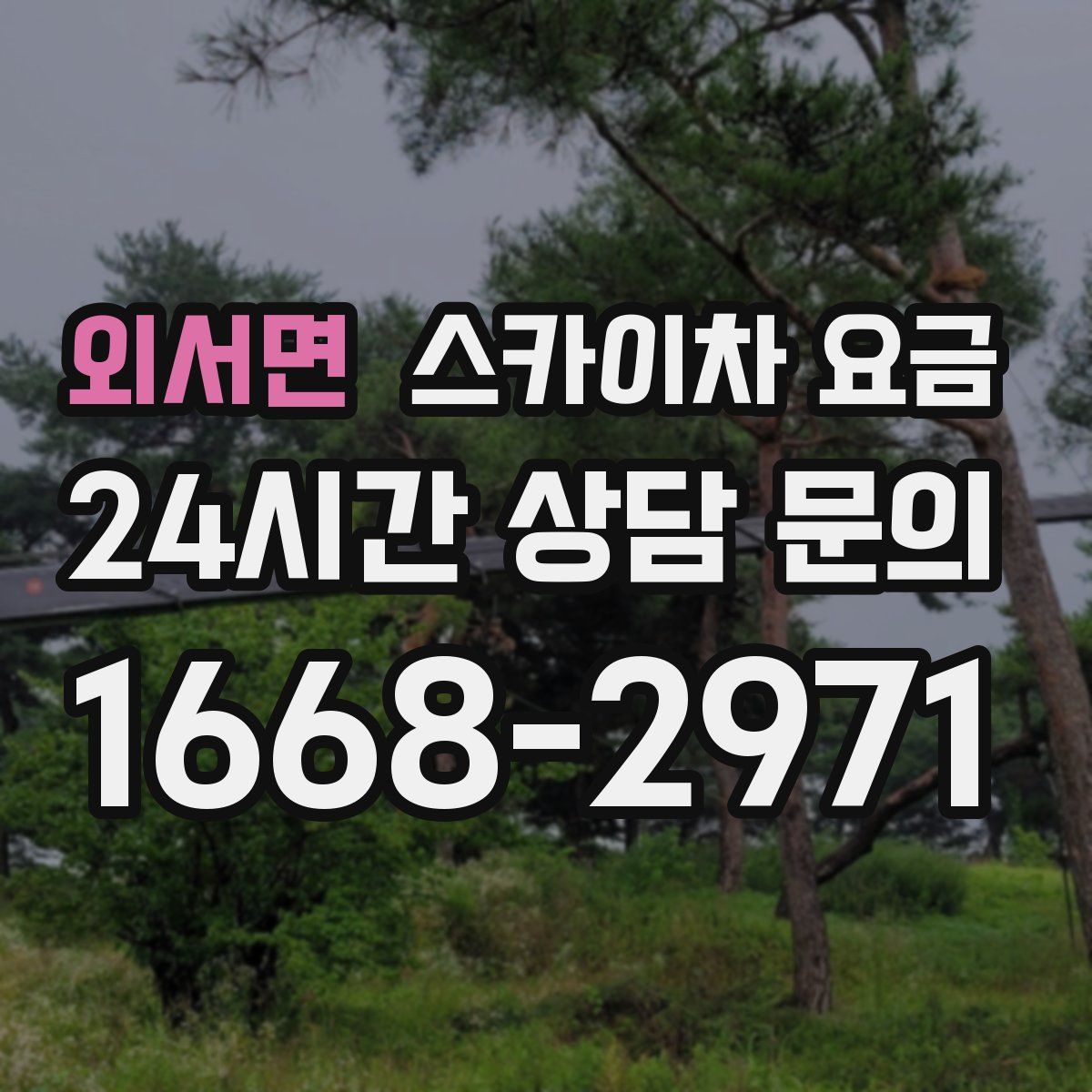 외서면 스카이차 요금