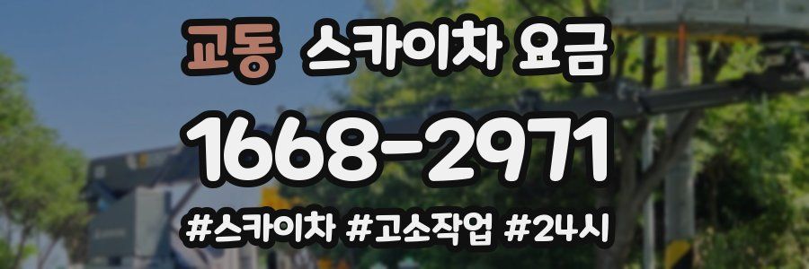 교동 스카이차 요금