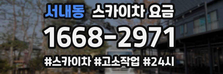 서내동 스카이차 요금
