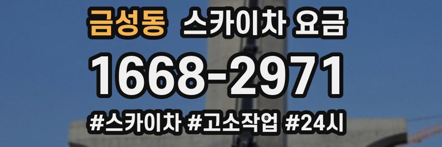 금성동 스카이차 요금