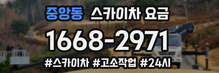 중앙동 스카이차 요금