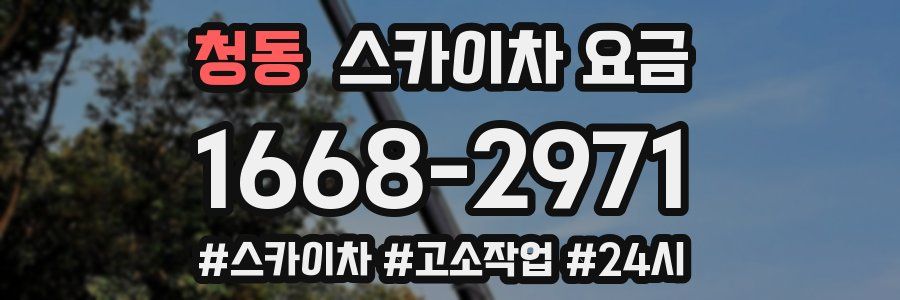 청동 스카이차 요금