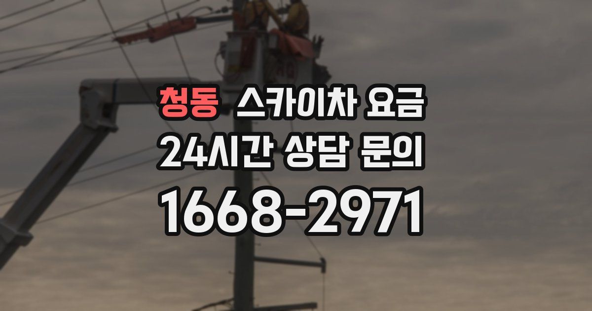 청동 스카이차 요금