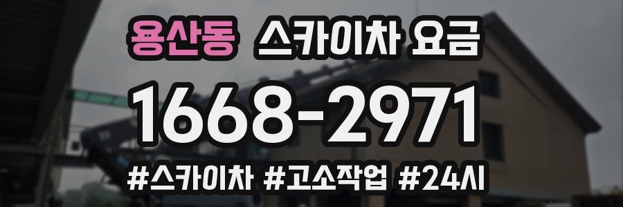 용산동 스카이차 요금