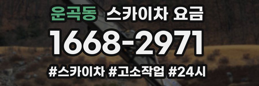 운곡동 스카이차 요금