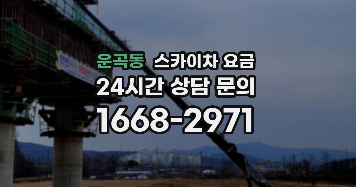 운곡동 스카이차 요금