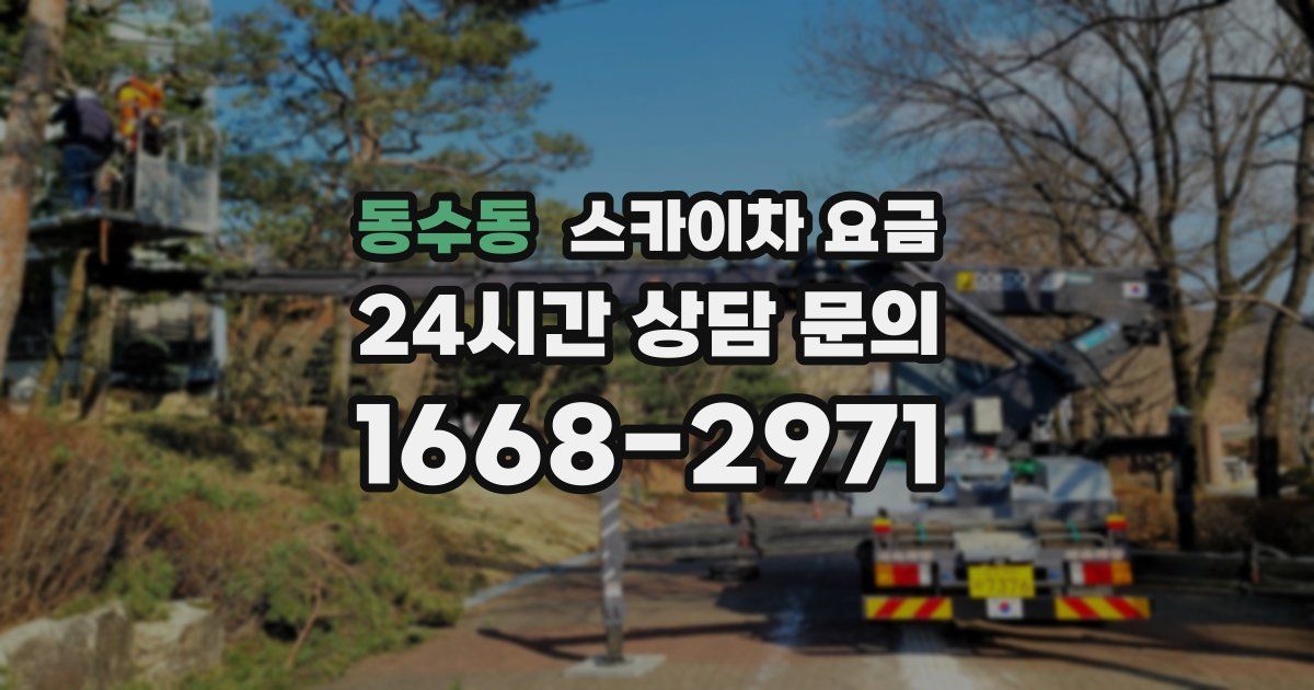 동수동 스카이차 요금