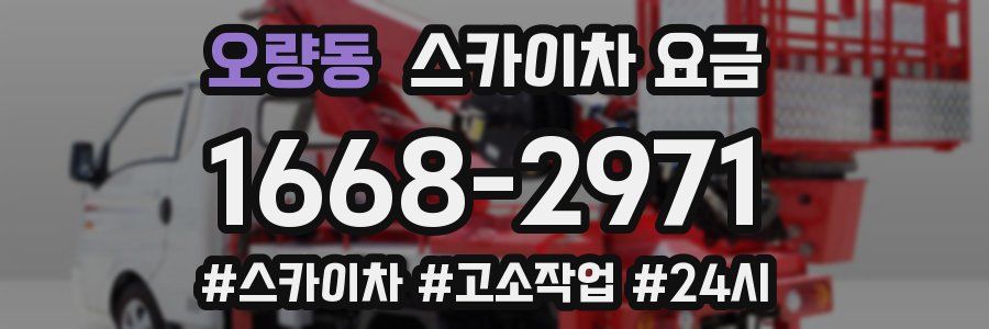 오량동 스카이차 요금