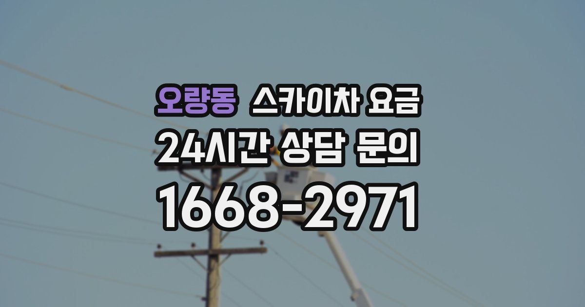 오량동 스카이차 요금