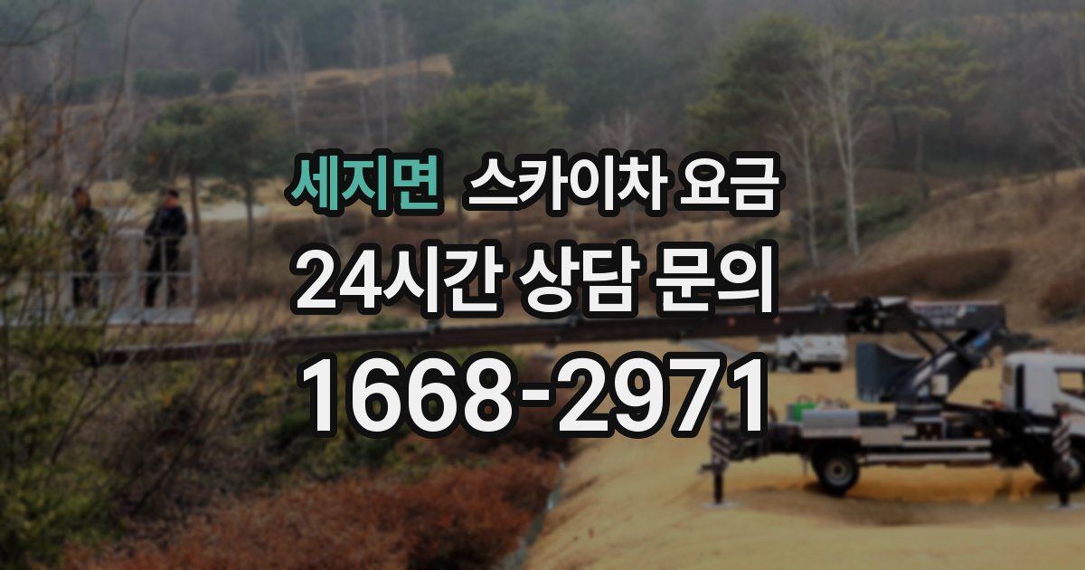 세지면 스카이차 요금