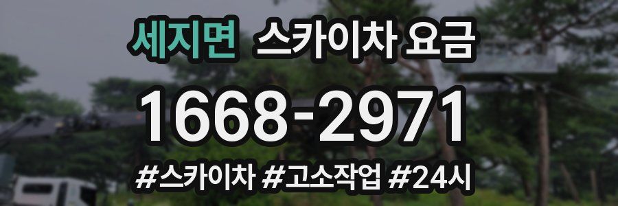 세지면 스카이차 요금