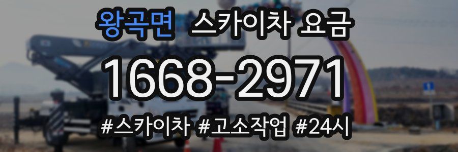 왕곡면 스카이차 요금